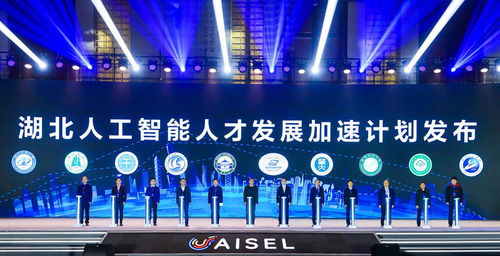 2021东湖国际人工智能高峰论坛举行